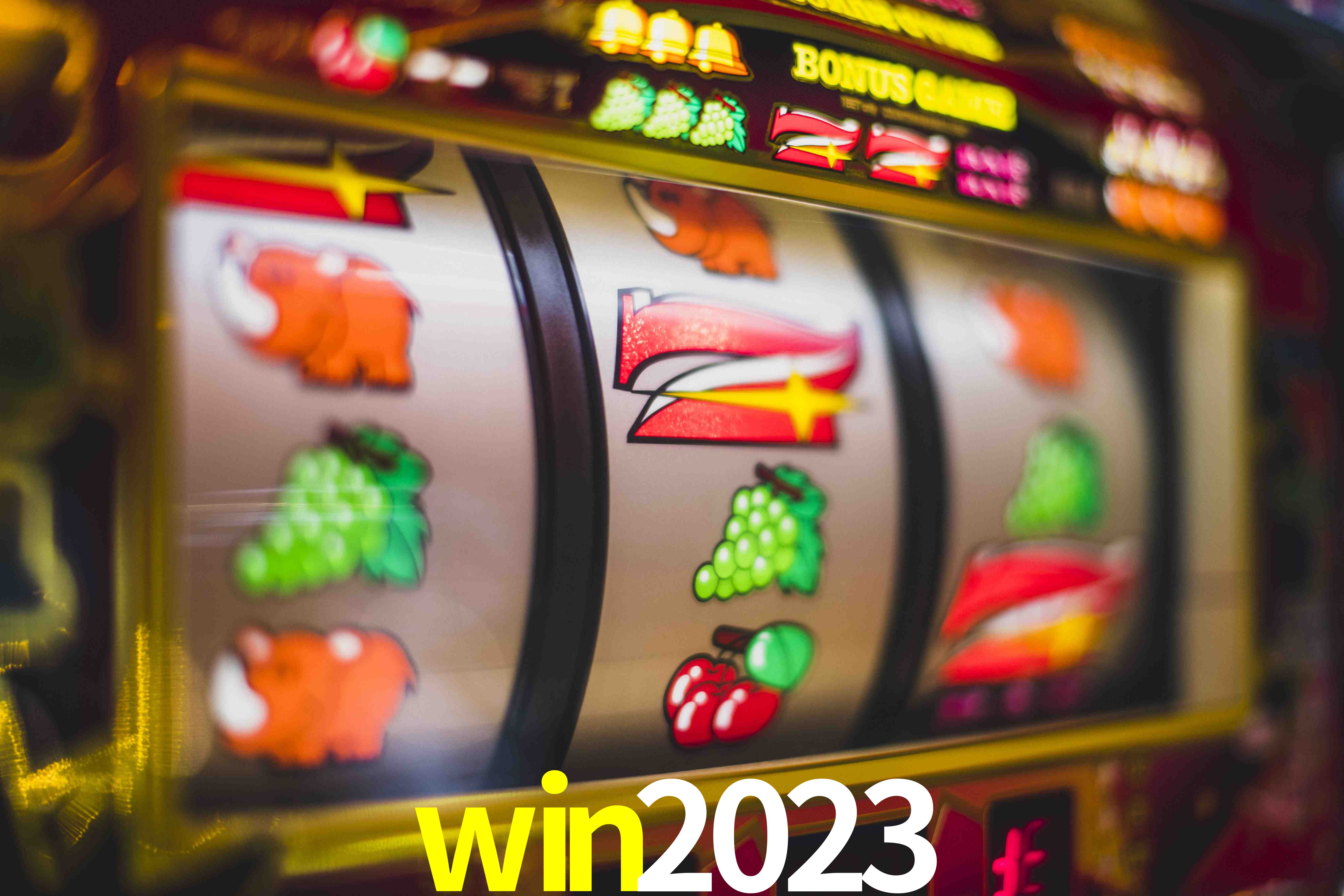 Tennis Betting win2023